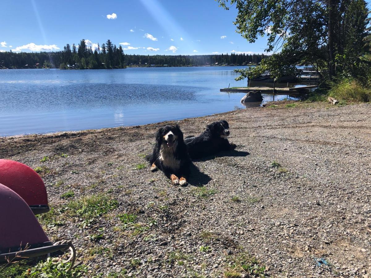 Beaver Guest Ranch Bridge Lake Luaran gambar